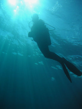 Diver in Sihlouette
