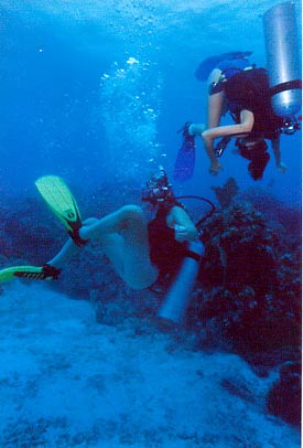 Teen students having fun on their dive