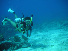 underwater sighting seeing in the Florida Keys