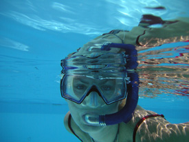 learn to snorkel in Key Largo pool