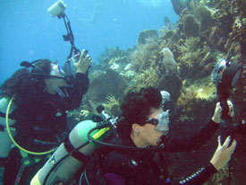 two underwater photographers working hard in Key Largo pool
