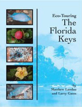 Know your fish when diving the Florida Keys